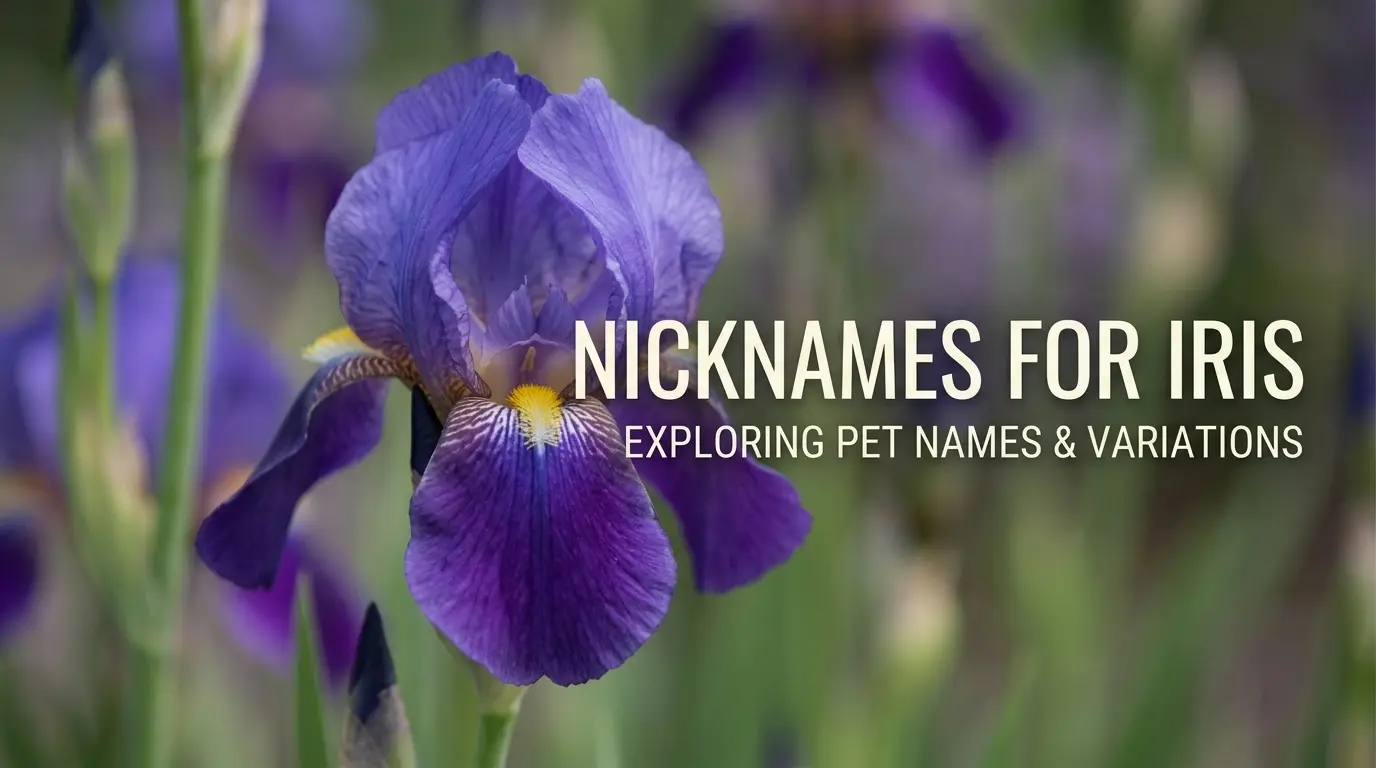 Nickname for Iris